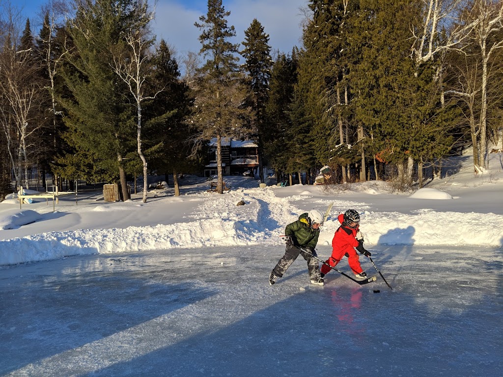 Wild Wild Rest | 1194 Dignan Rd, Haliburton, ON K0M 1S0, Canada | Phone: (416) 540-6178