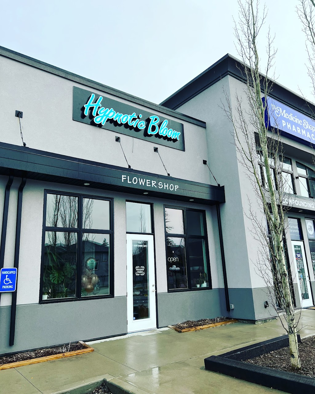 Hypnotic Bloom Spruce Grove | 1 Hawthorne Gate #106, Spruce Grove, AB T7X 0A6, Canada | Phone: (587) 461-2414