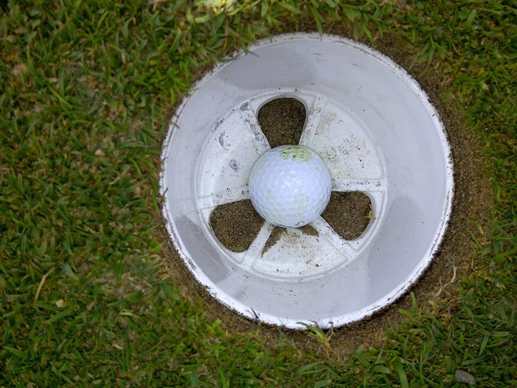 Bill Dreger - nonstopGOLF | 110 Point McKay Crescent NW, Calgary, AB T3B 5B4, Canada | Phone: (403) 852-8781
