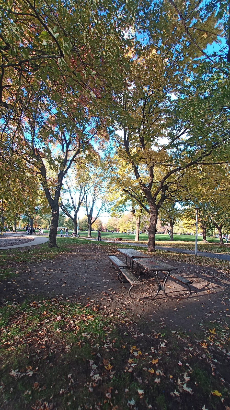 Softball Diamond | Av du Parc 2N4, Mont-Royal Ave W, Montreal, QC H2T 2T1, Canada | Phone: (514) 872-0311
