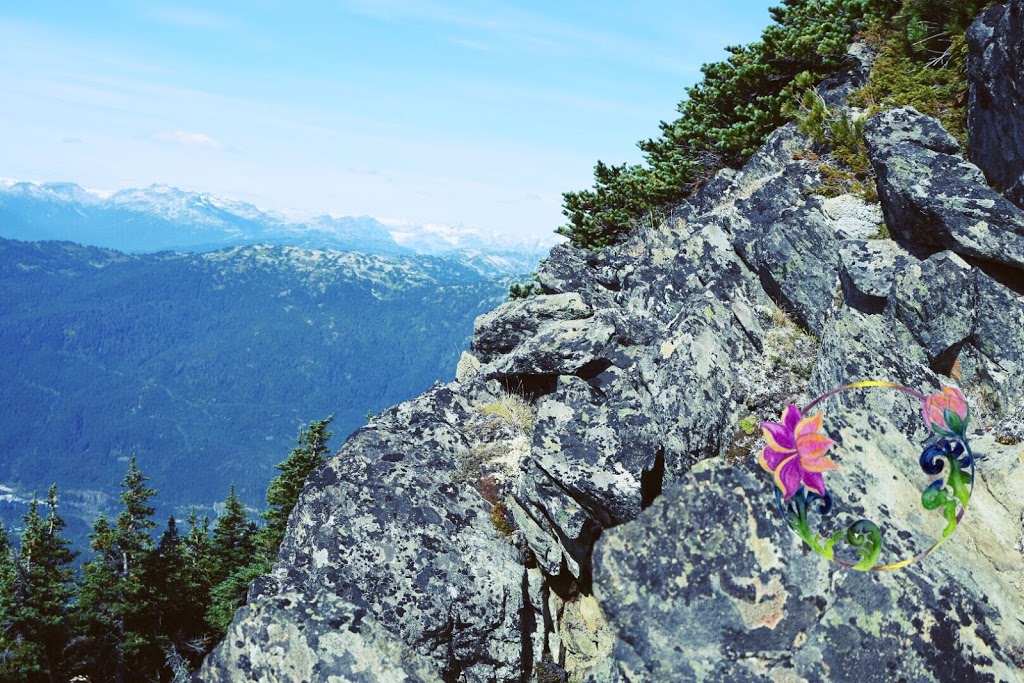 Lotus Herbal Health | 8417 Elbow Dr SW, Calgary, AB T2V 1K8, Canada | Phone: (403) 457-7197