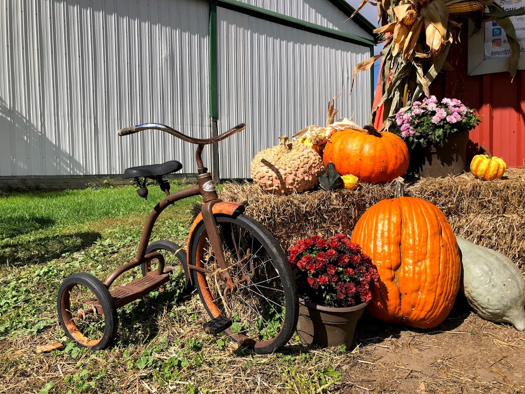 Shantz Family Farm - Closed for the Season | 1544 Bleams Rd, Petersburg, ON N0B 2H0, Canada | Phone: (519) 634-5252
