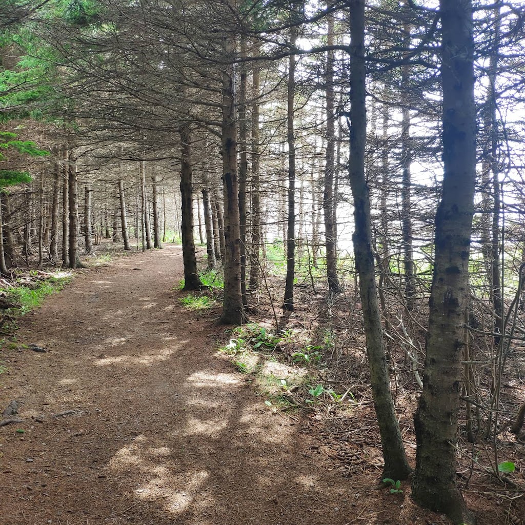 Arisaig Provincial Park | 5704 NS-245, Antigonish, NS B2G 2L2, Canada | Phone: (902) 863-4513