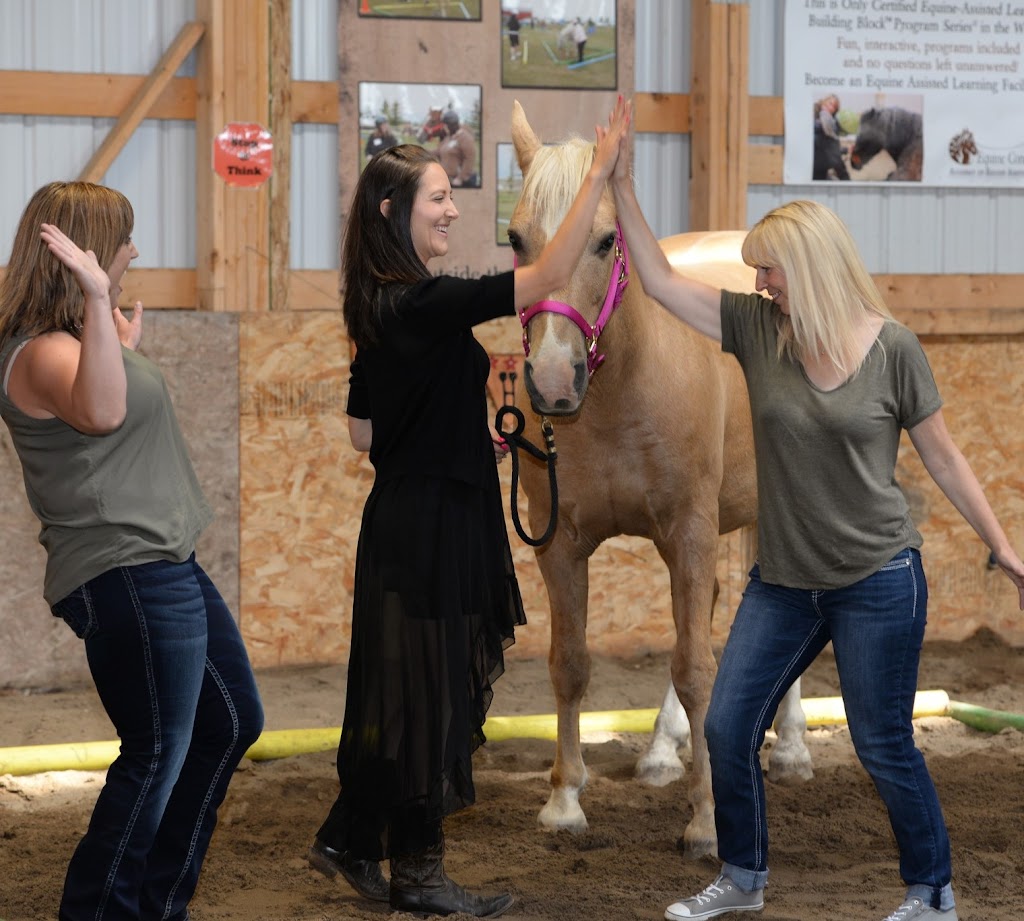 Feather Ranch Equine | Range Rd 163, Taber, AB T1G 2E1, Canada | Phone: (403) 331-9203