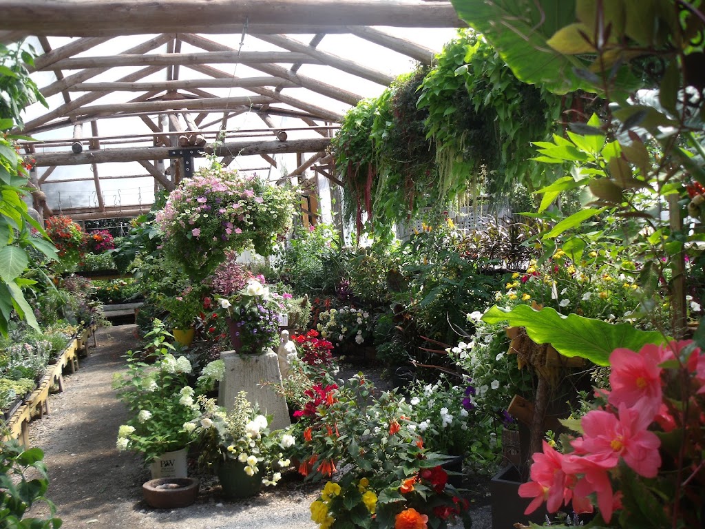 Glad Gardens Family Farm Market & Greenhouses | 5108 Nova Scotia Trunk 1, Waterville, NS B0P 1V0, Canada | Phone: (902) 538-8688