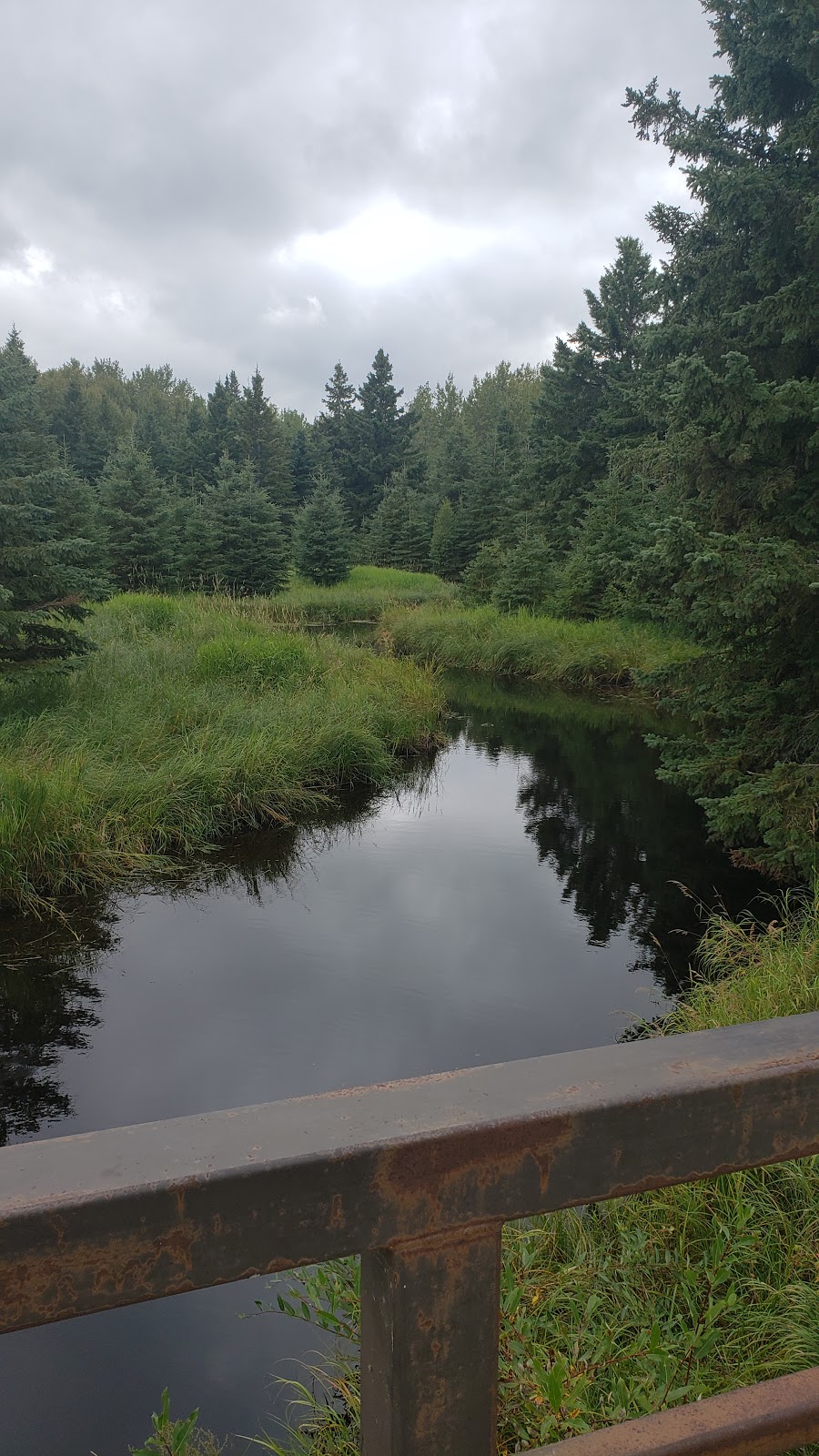 Buck Lake Provincial Recreation Area | Wetaskiwin County No. 10, AB T0C 0S0, Canada | Phone: (780) 586-2864