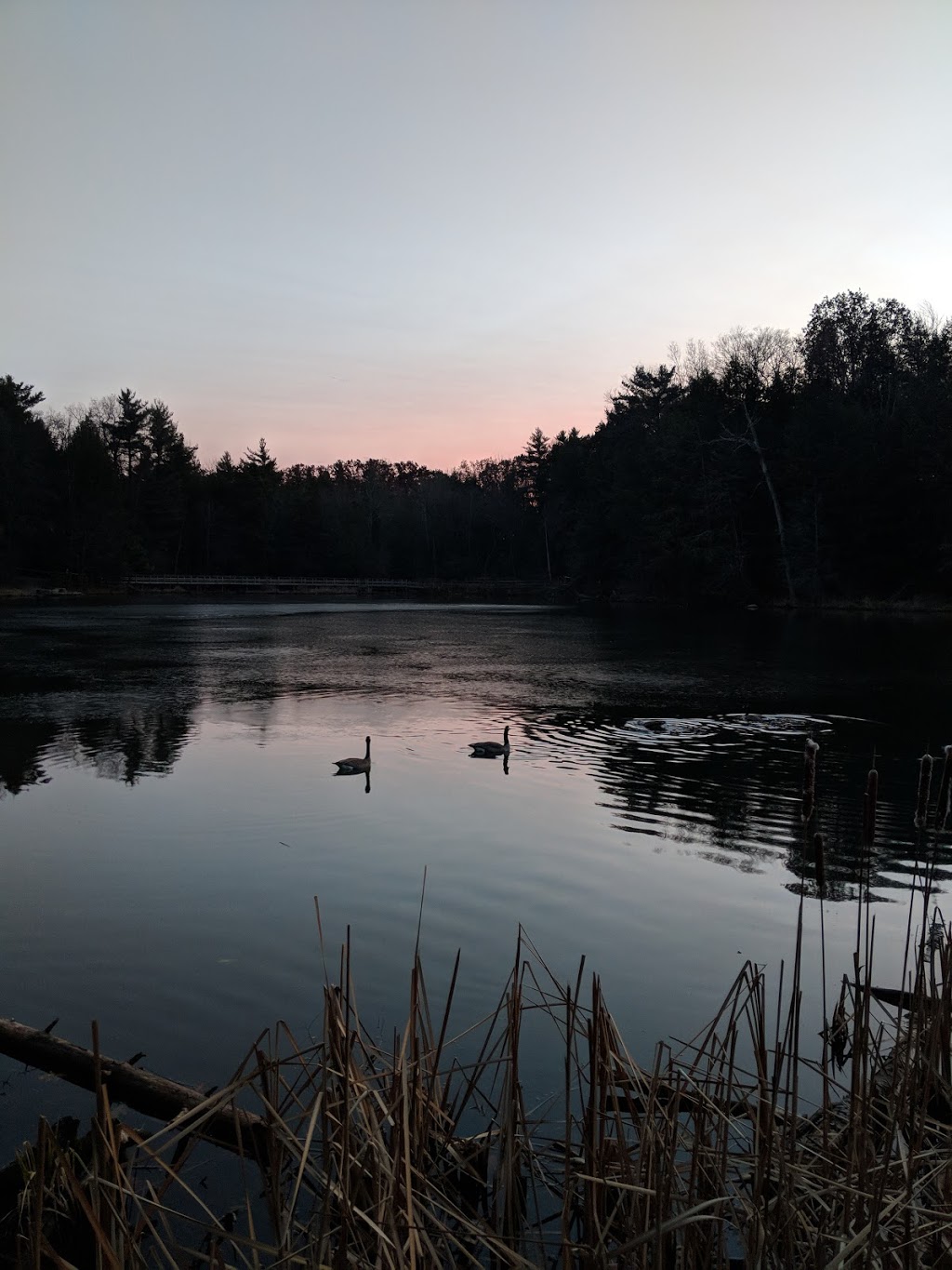 Huron Natural Area | 801 Trillium Dr, Kitchener, ON N2R 1K4, Canada | Phone: (519) 741-2600