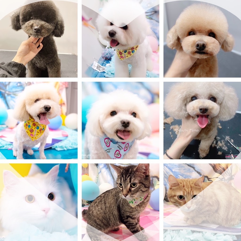Pawty Time Pet Club | 4441 Hwy 7, Unionville, ON L3R 1M1, Canada | Phone: (905) 604-6797