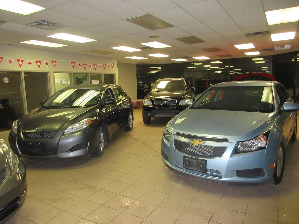 Loyal King Auto | car dealer | 287 Old Kingston Rd, Scarborough, ON M1C 1B4, Canada | 6476294022 OR +1 647-629-4022