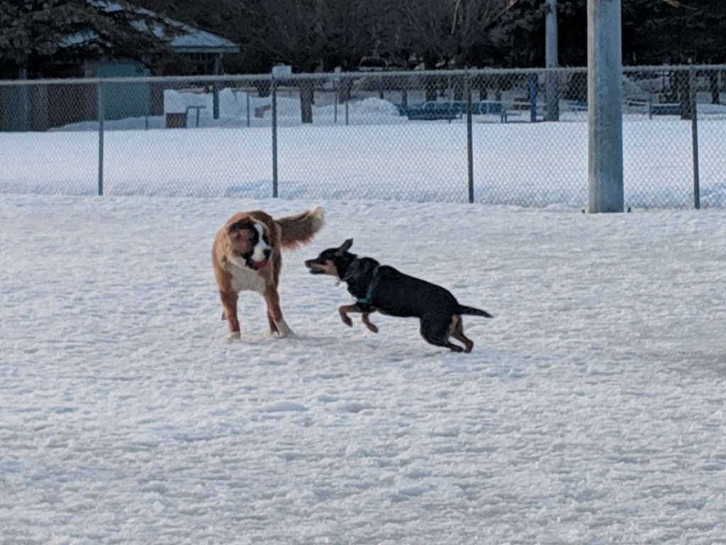 Dog Park | The Glebe, Ottawa, ON K1S 5N5, Canada