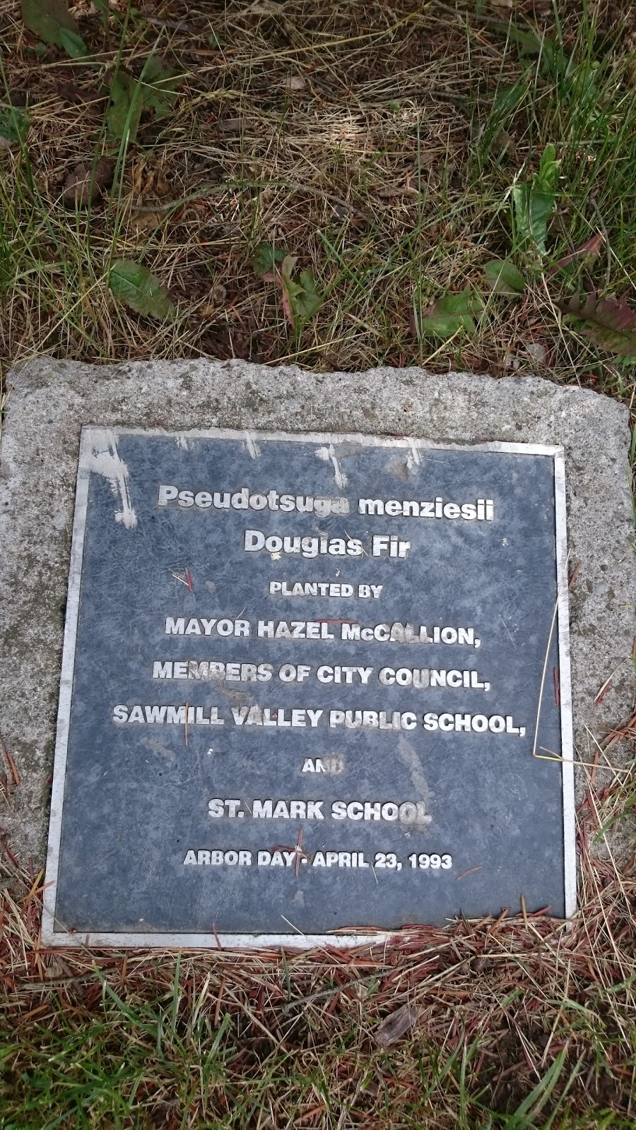 Sawmill Valley Public School | 3625 Sawmill Valley Dr, Mississauga, ON L5L 2Z5, Canada | Phone: (905) 820-2500