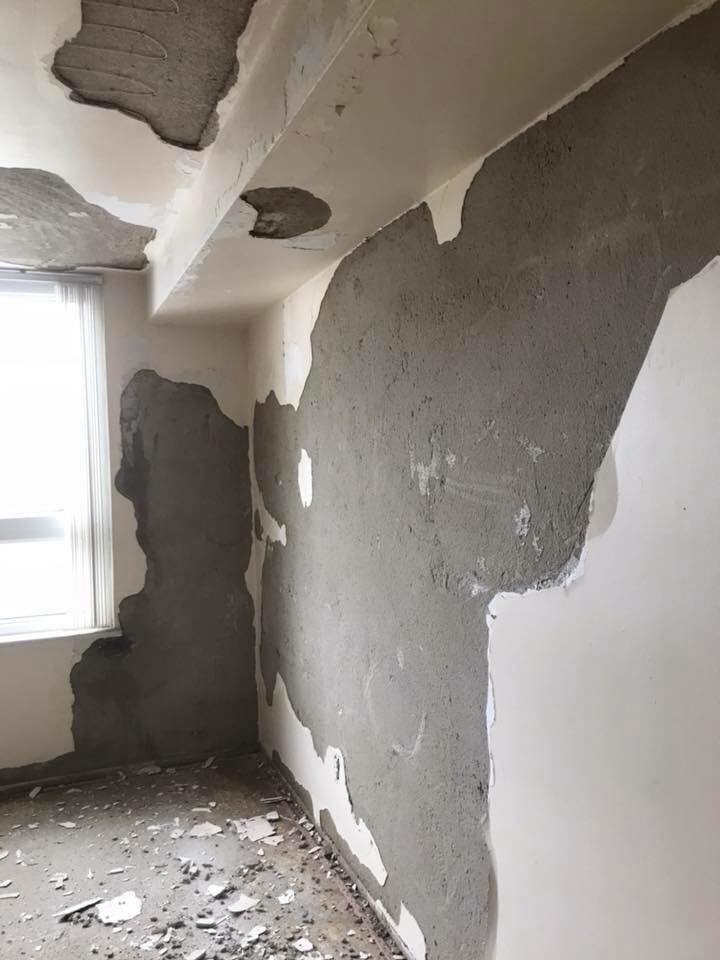 Bedals Plaster & Paint | 5720 Alma St, Amherstburg, ON N9V 0C8, Canada | Phone: (519) 738-6868