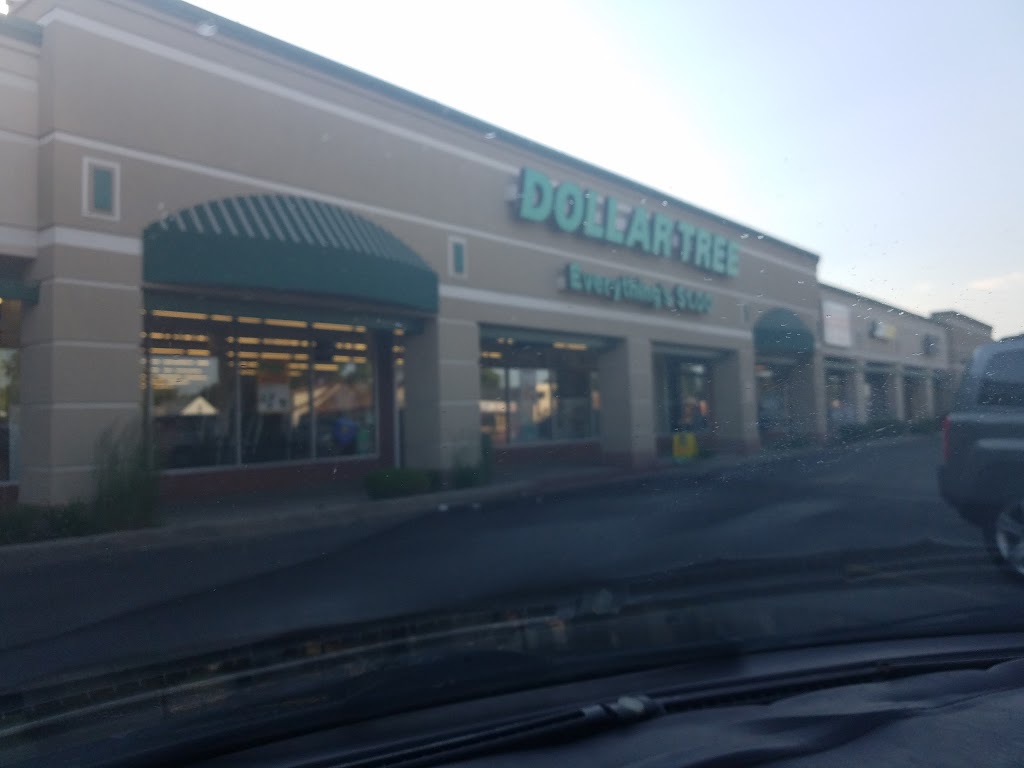 Dollar Tree | 4236 Delaware Ave, Tonawanda, NY 14150, USA | Phone: (716) 799-6038