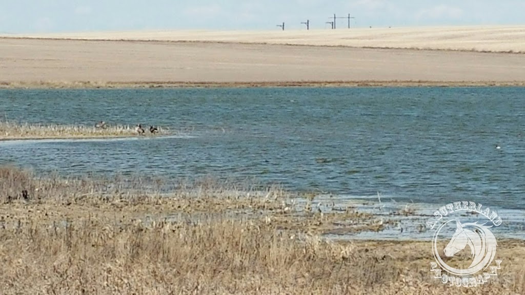 Wildlife Tomorrow - Wildlife Habitat | Unnamed Road, Colonsay, SK S0K 0Z0, Canada