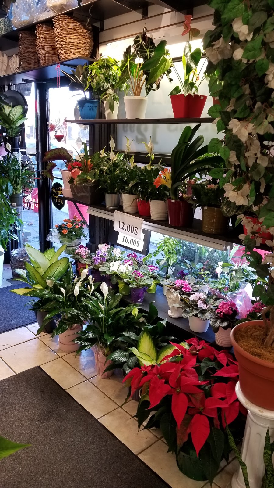 Fleuriste Coin St-Pierre - Fleuriste Coin Vert | 4 Avenue Saint-Pierre, Lachine, QC H8R 1N7, Canada | Phone: (514) 366-0004