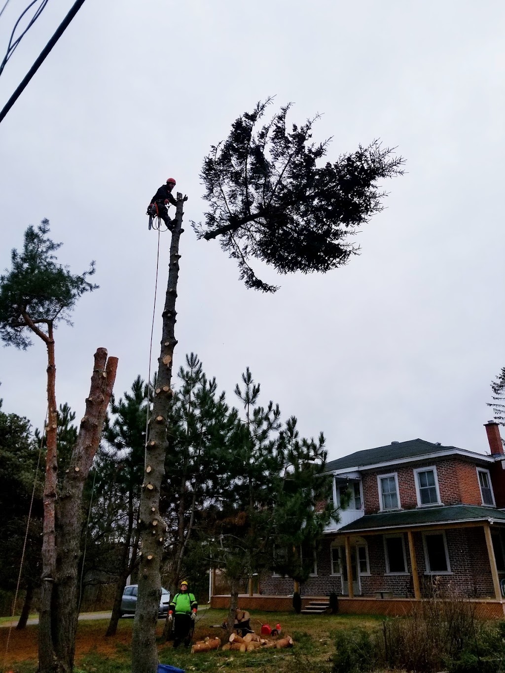 Ascension Arboriculture Elagage | 5941 Rue Lakeview, Rawdon, QC J0K 1S0, Canada | Phone: (514) 686-8011