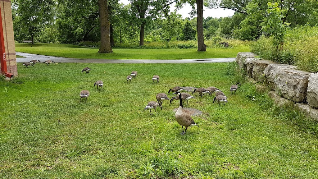 Greenway Park Saturn Playground | 50 Greenside Ave, London, ON N6J 2X5, Canada | Phone: (519) 661-4980