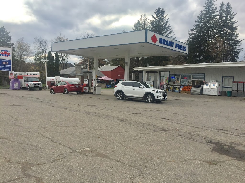 Brant Fuels & Variety | 259 Cockshutt Rd, Mount Pleasant, ON N0E 1K0, Canada | Phone: (519) 484-2850