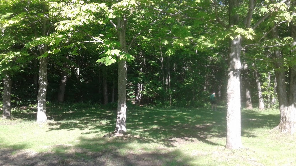 Parc Optimiste | 630 Route du Petit Cap, Cap-Saint-Ignace, QC G0R 1H0, Canada | Phone: (418) 246-5390