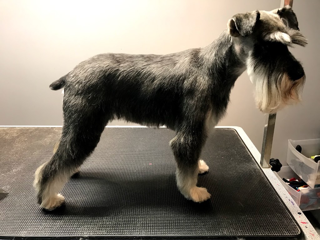 Tip-Top Tailz Pet Spa | 3928 Claxton Loop SW, Edmonton, AB T6W 1Y6, Canada | Phone: (780) 880-9864