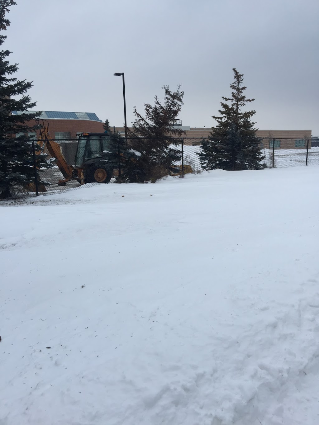 Harold M. Brathwaite Secondary School | 415 Great Lakes Dr, Brampton, ON L6R 2Z4, Canada | Phone: (905) 793-2155