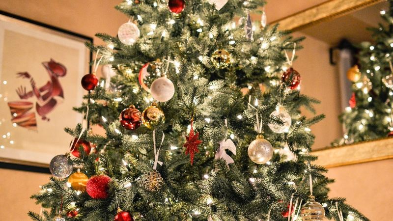 Christmasland - Artificial Christmas Tree online shop | 1206-7328 Arcola St, Burnaby, BC V5E 0A7, Canada | Phone: (604) 786-9253