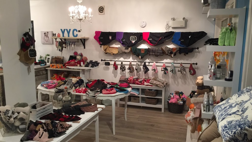 Doodle Dogs Inc | 3b Parkdale Crescent NW, Calgary, AB T2N 3T8, Canada | Phone: (587) 349-3647