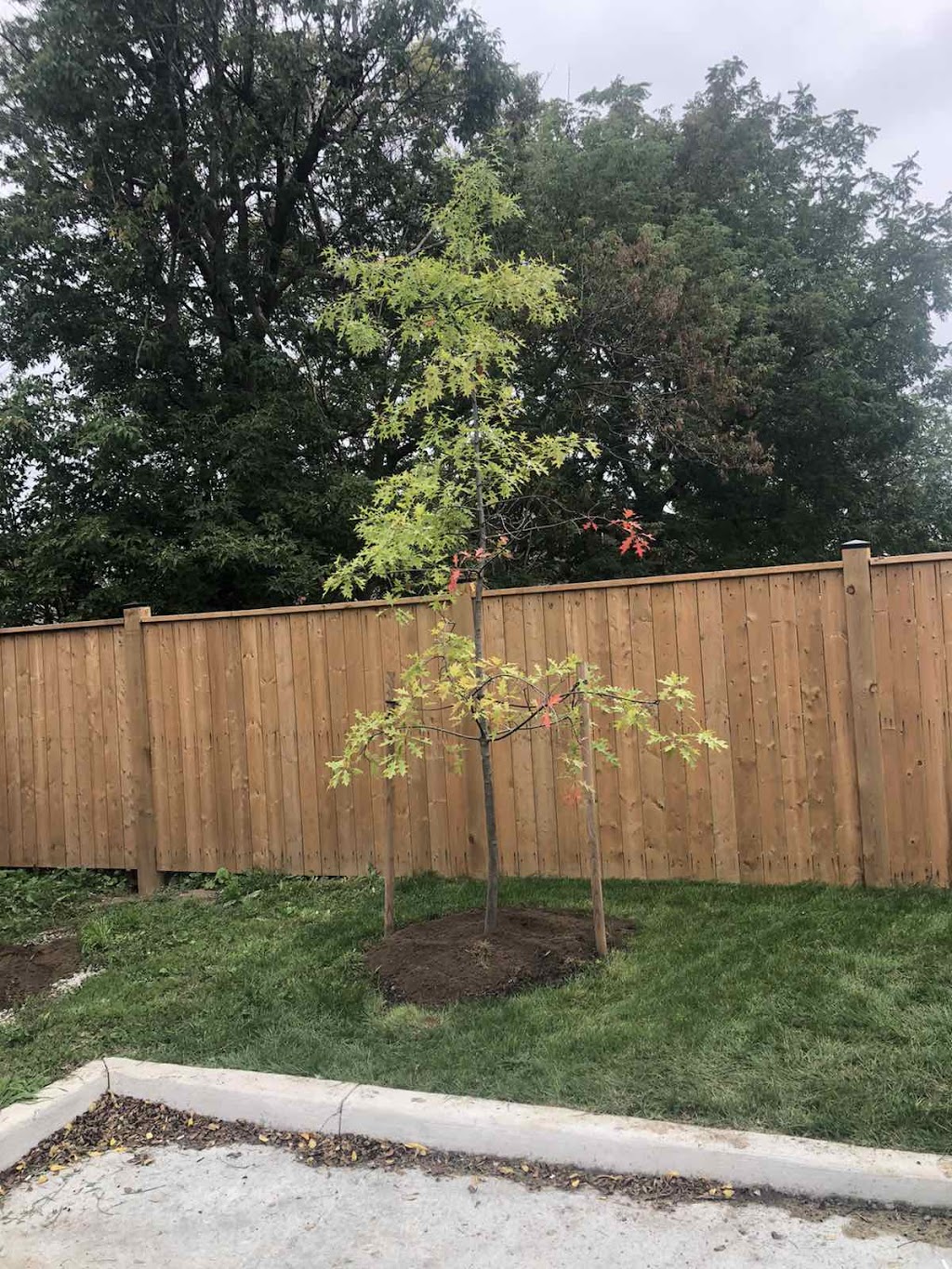 Hogar Landscaping | 7884 Salisbury Pl, Niagara Falls, ON L2H 2W7, Canada | Phone: (905) 401-9297