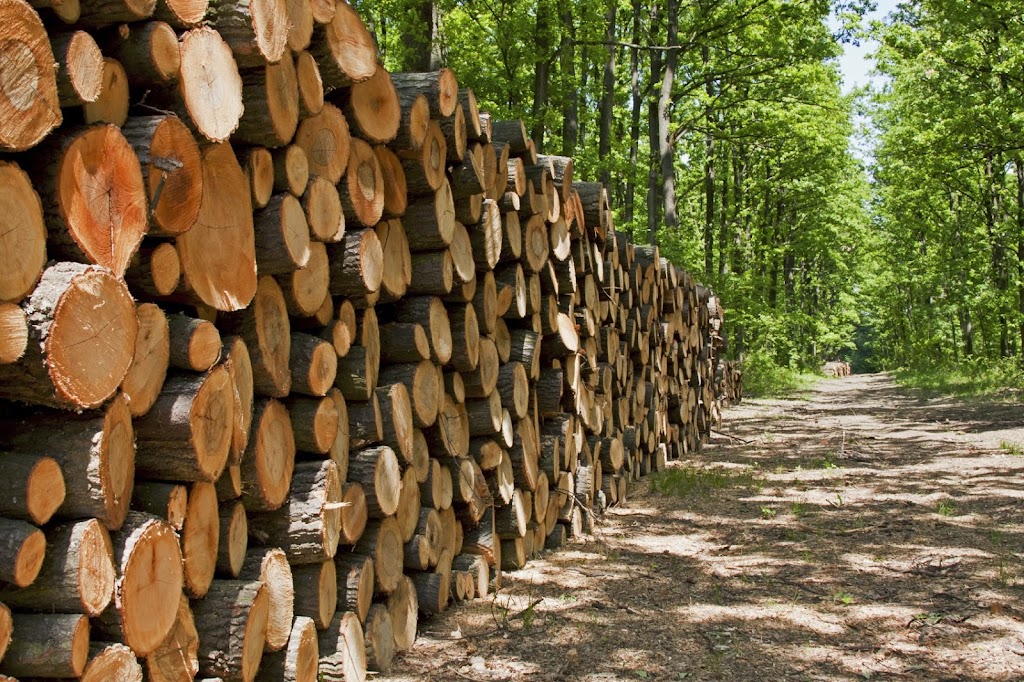 Groupement forestier coopératif St-François | 345 Rue du Parc Industriel, Windsor, QC J1S 3A7, Canada | Phone: (819) 845-3266