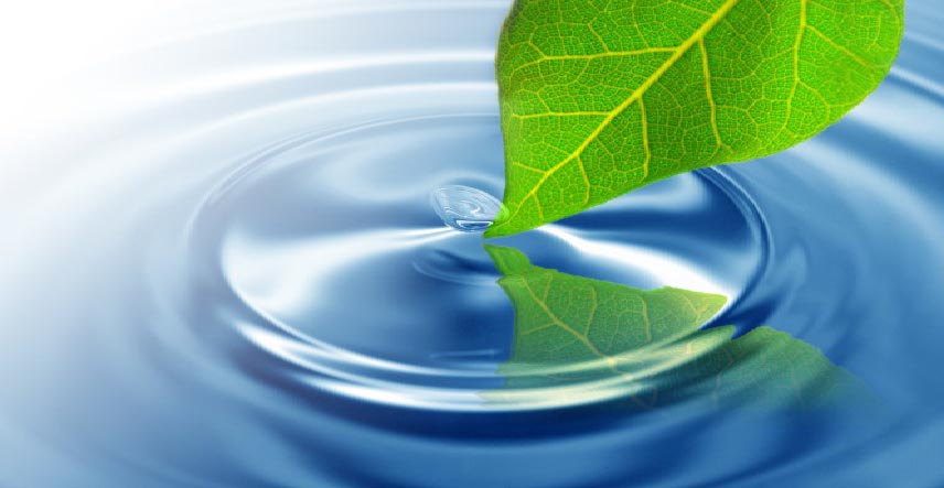Niagara Environmental Water Solutions | 10 Grote St, St. Catharines, ON L2N 2E7, Canada | Phone: (905) 228-1881