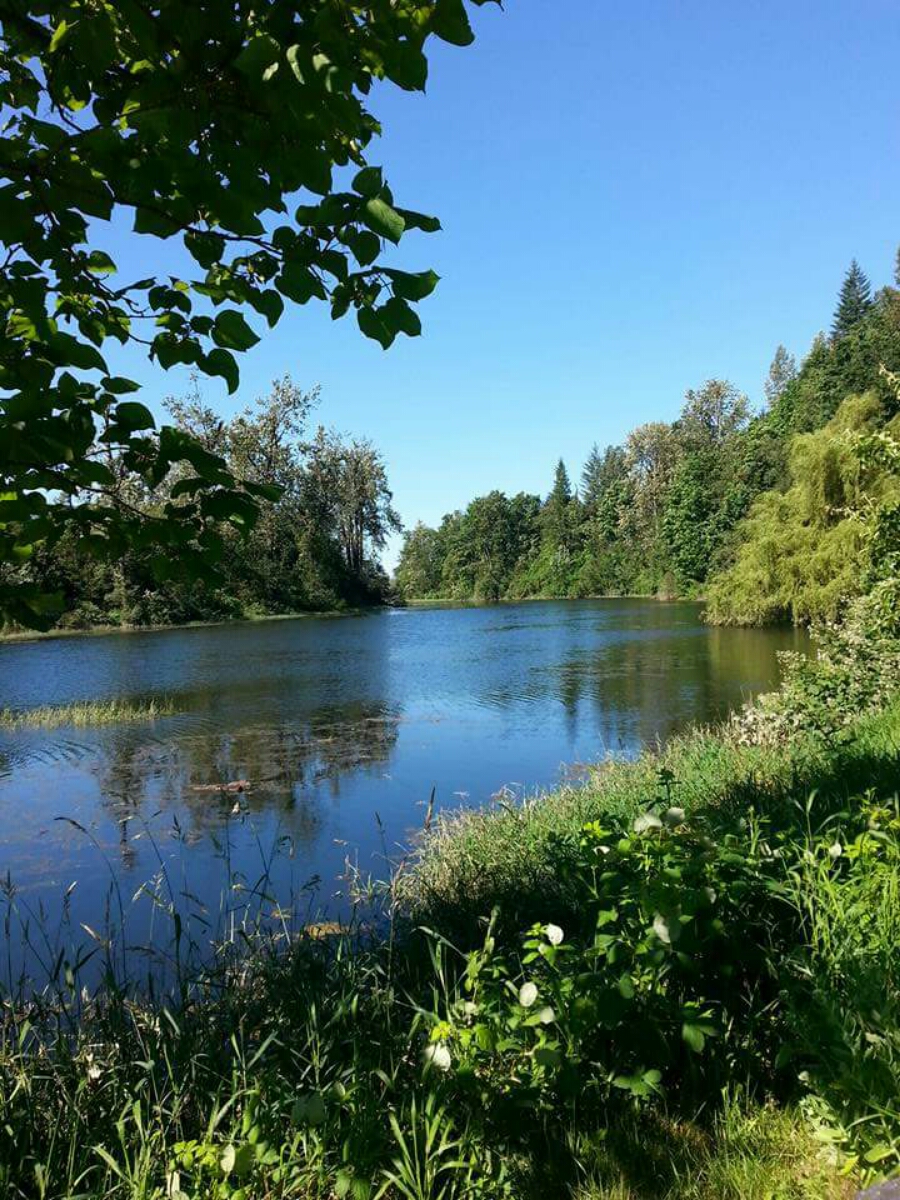 Eagle Tree Lodge B&B | Cutler Rd, Agassiz, BC V0M 1A4, Canada | Phone: (778) 885-4659