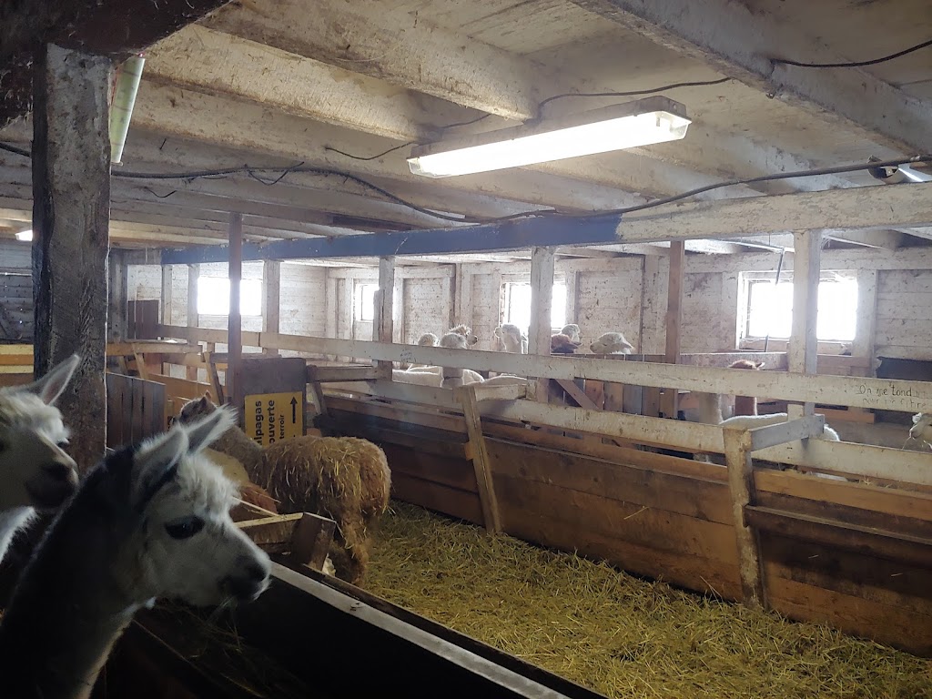 La ferme le moment présent | 155 Chem. Thomas N, Notre-Dame-de-la-Salette, QC J0X 2L0, Canada | Phone: (819) 766-2022