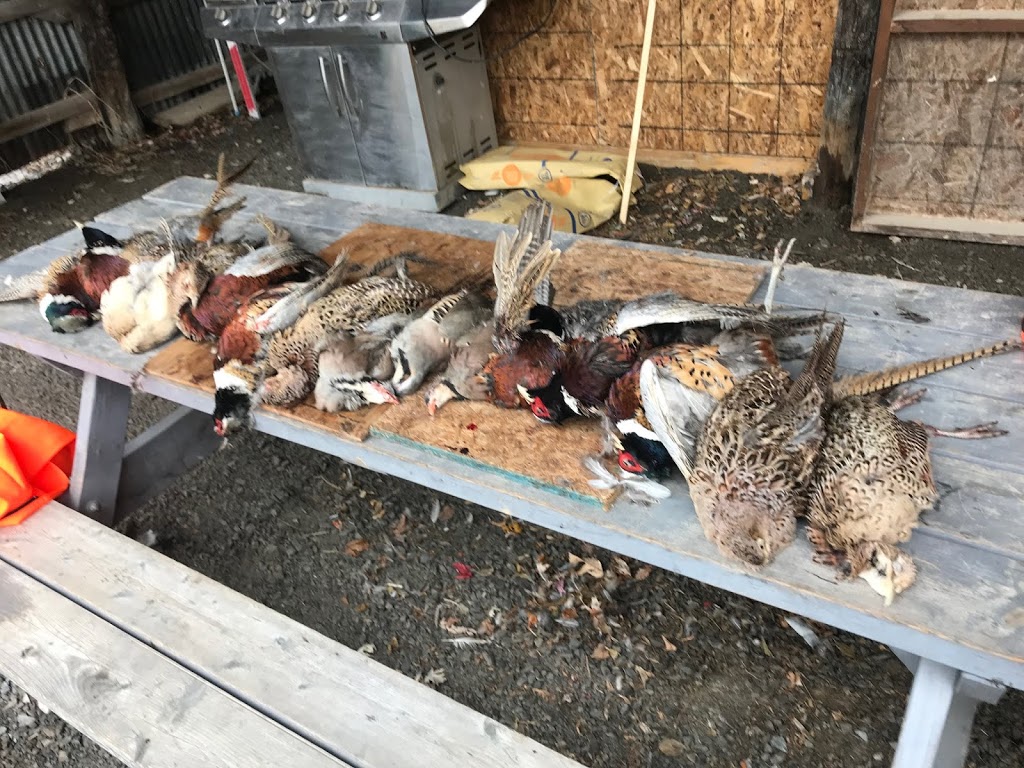 Ruffwood Game Farm | 535 Concession 1 Rd S, Cayuga, ON N0A 1E0, Canada | Phone: (905) 772-7230