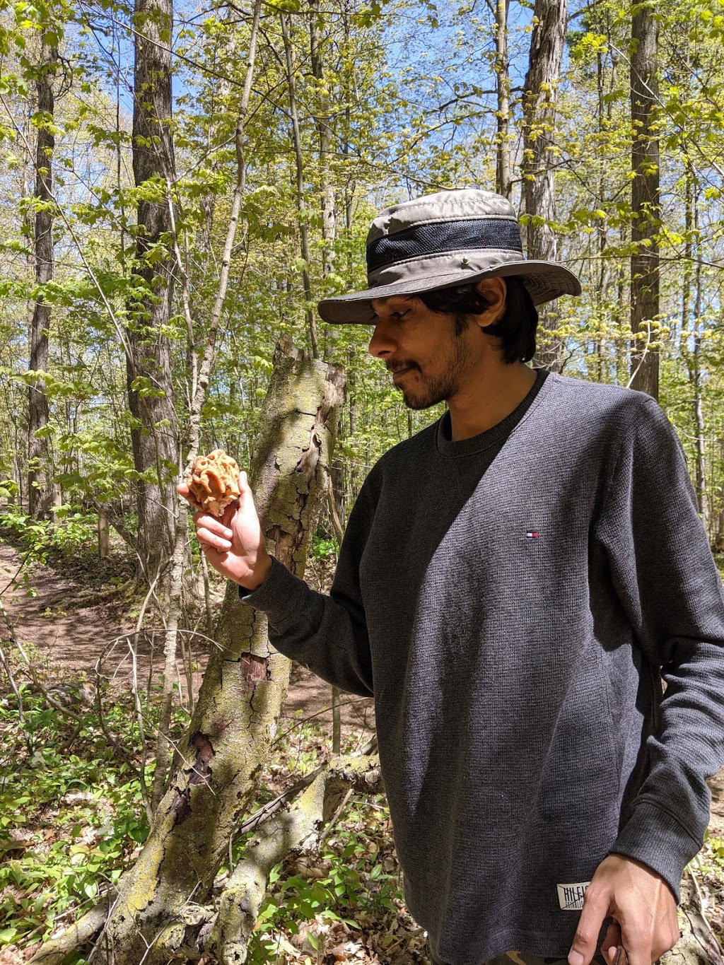 Grand River Mycology | 70 Arrowhead Crescent, Kitchener, ON N2P 1B9, Canada | Phone: (226) 505-0185
