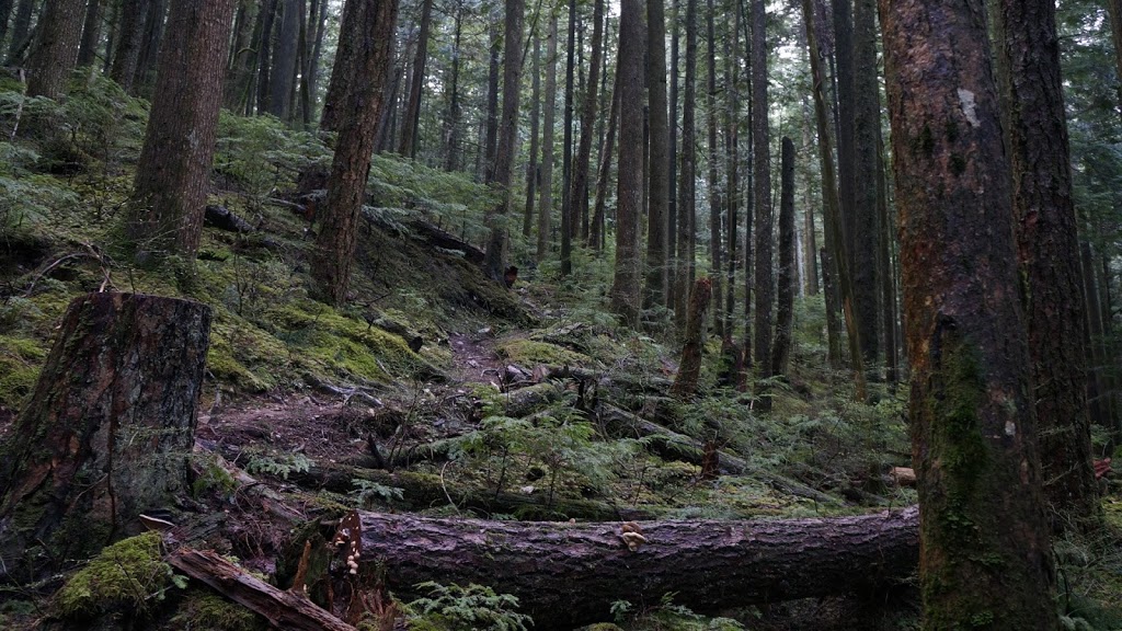 Sumas Mtn Upper Lot | Fraser Valley G, BC V3G 2L3, Canada