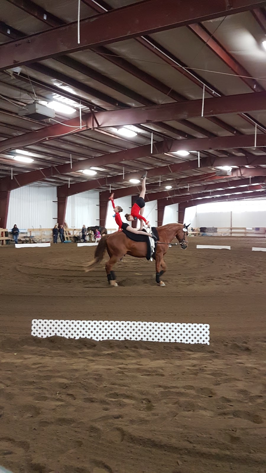 Rocky 6 S Ranch | Mountain View County, AB T0M 1L0, Canada | Phone: (403) 803-2655