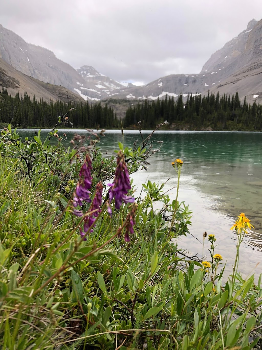 McKenzies Trails West | David Thompson Hwy, Cline River, AB T0M 2H0, Canada | Phone: (403) 721-7433
