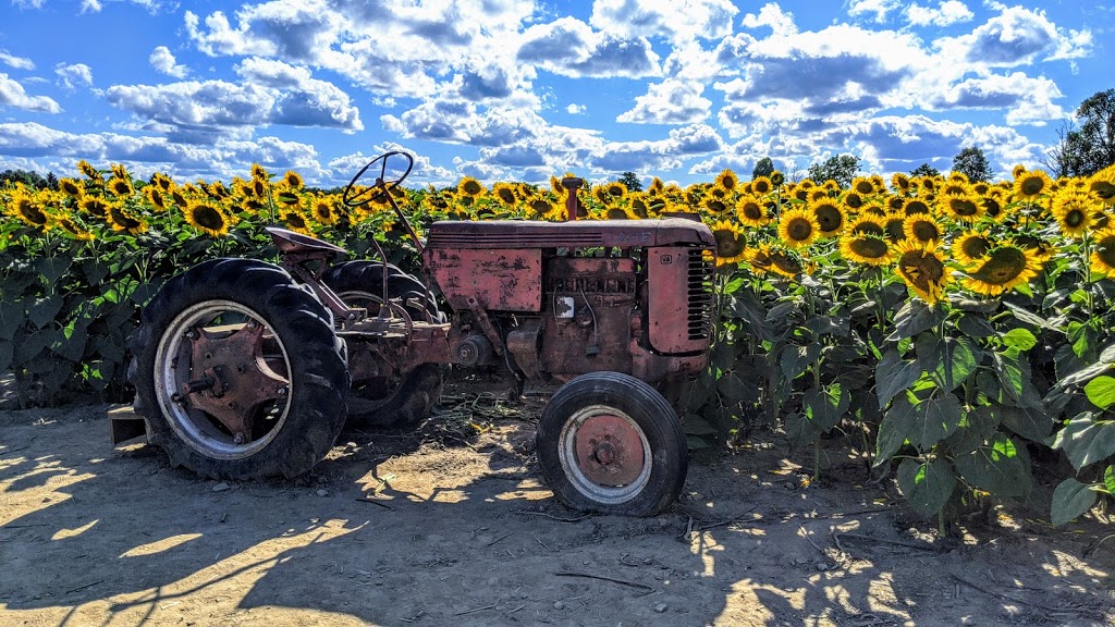 Dixie Orchards | 14309 Dixie Rd, Inglewood, ON L7C 2M8, Canada | Phone: (905) 838-5888