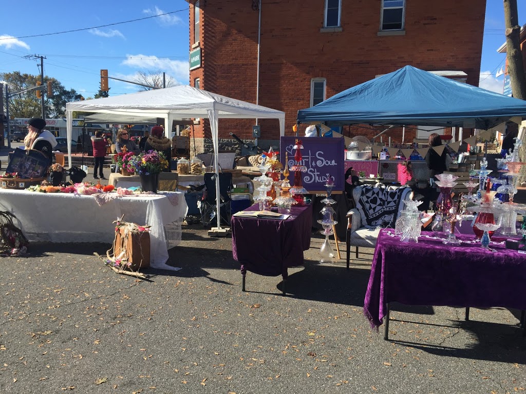 Lillifrog | 1285 Bayfield St, Midhurst, ON L0L 1X0, Canada | Phone: (705) 718-3078