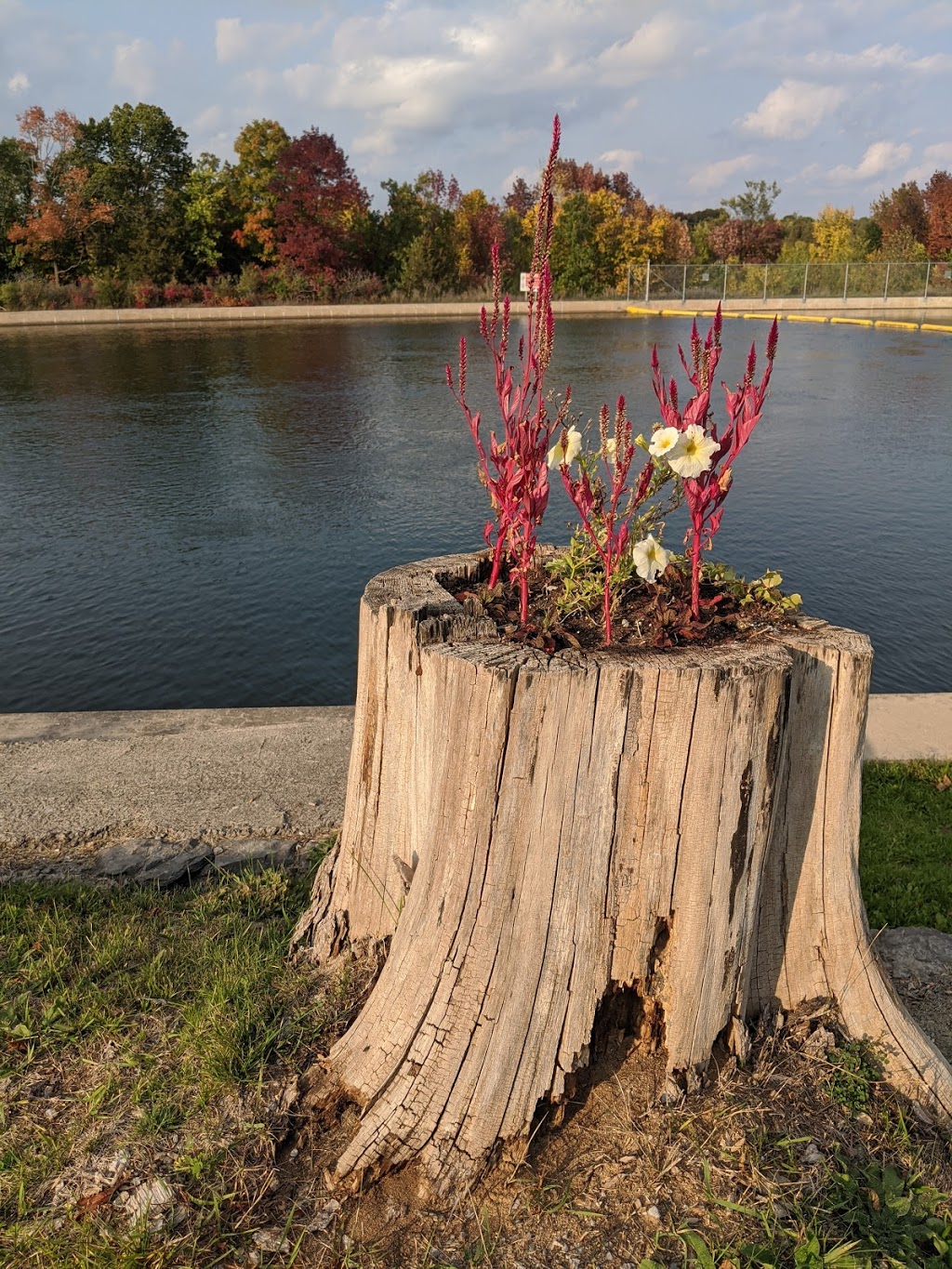 Trent-Severn Waterway, Lock 16-17 - Healey Falls Flight Lock | 222 Canal Rd, Campbellford, ON K0L 1L0, Canada | Phone: (705) 653-2380
