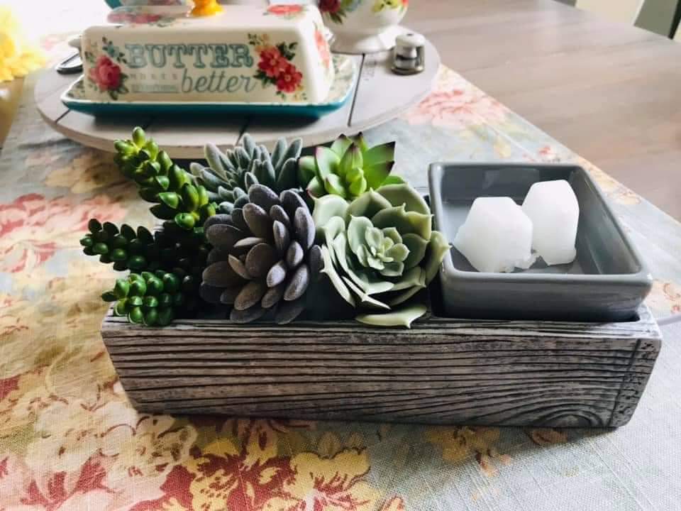 Independent Scentsy Consultant- Cindy Taylor | 610 Malo St, Kingsville, ON N9Y 3G6, Canada | Phone: (226) 346-5547