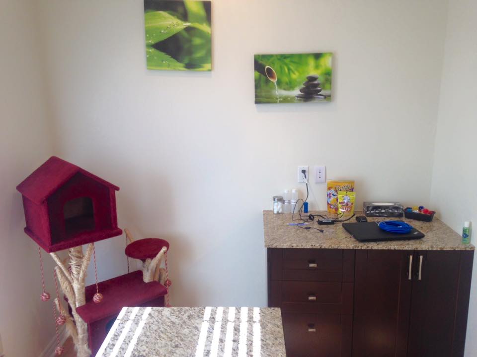 Carter Veterinary Hospital | 2323 Durham Regional Hwy 2, Bowmanville, ON L1C 3K7, Canada | Phone: (905) 419-3500