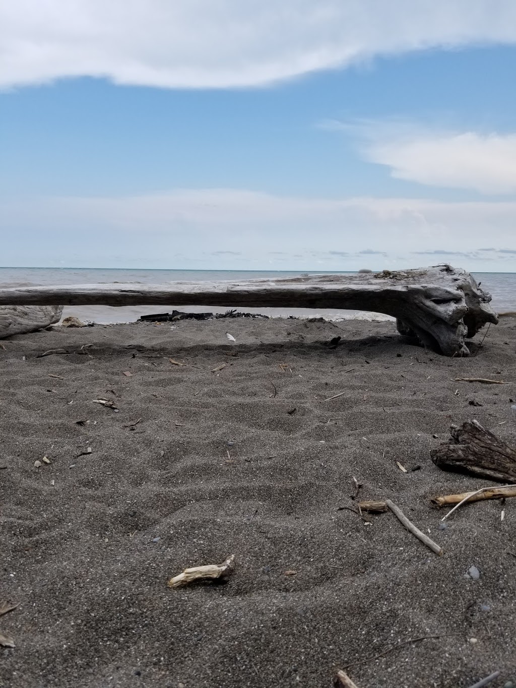 Wildwood by the lake | Unnamed Road, Morpeth, ON N0P 1X0, Canada | Phone: (519) 674-5516