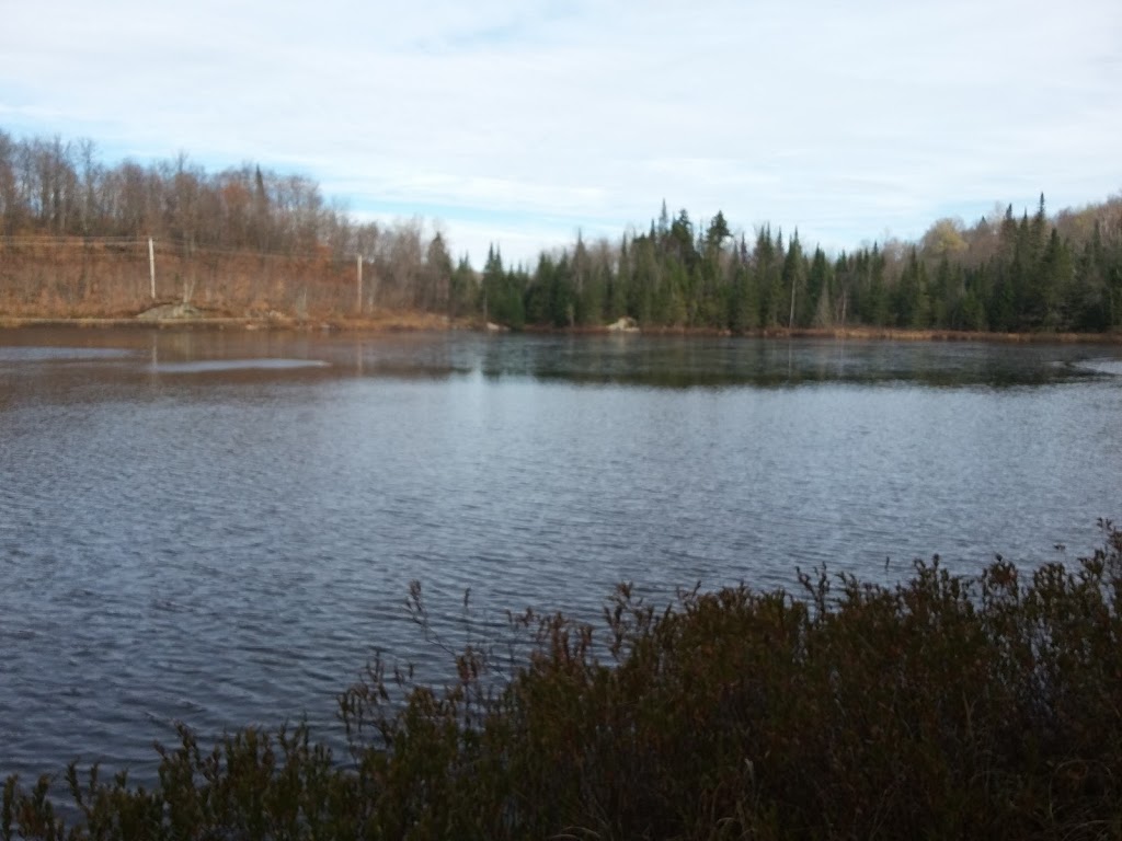 Plein air St-Adolphe | 1672 Chemin du Village, Saint-Adolphe-dHoward, QC J0T 2B0, Canada | Phone: (819) 327-3519