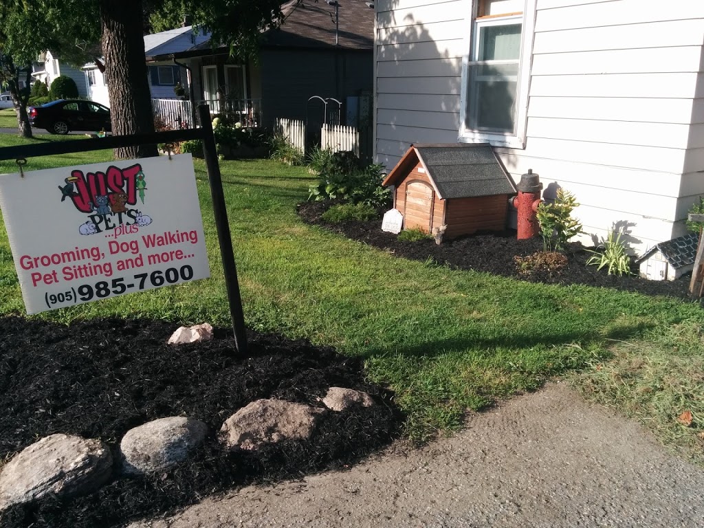 Just Pets Plus Inc. | 15725 Simcoe St, Port Perry, ON L9L 1M3, Canada | Phone: (905) 985-7600