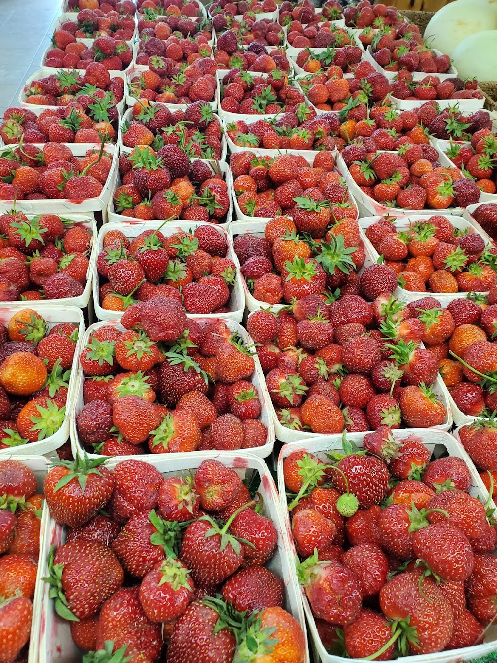 Averys Farm Market | South Berwick, Berwick, NS B0P 1E0, Canada | Phone: (902) 538-5538