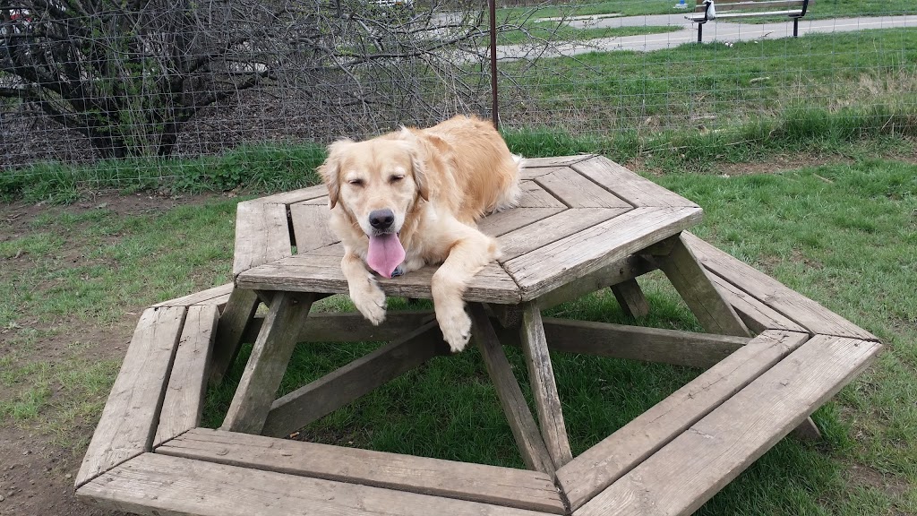 Pottersburg Off Leash Dog Park | Pottersburg-FIDO Off-leash Area, London, ON N5W 1B1, Canada | Phone: (519) 661-2489