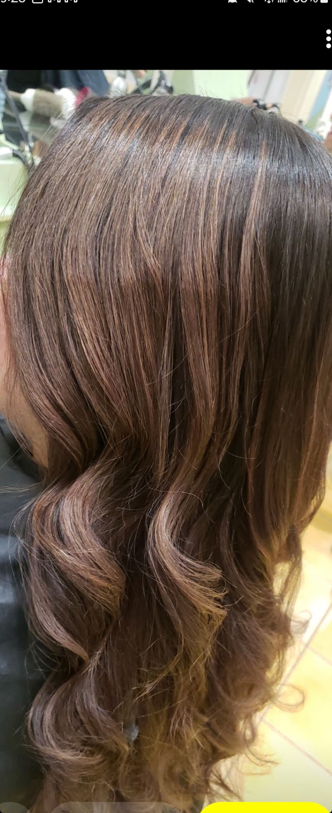 Liz the hair boss | 30 Rosenfeld Dr, Barrie, ON L4M 5X2, Canada | Phone: (416) 948-5118