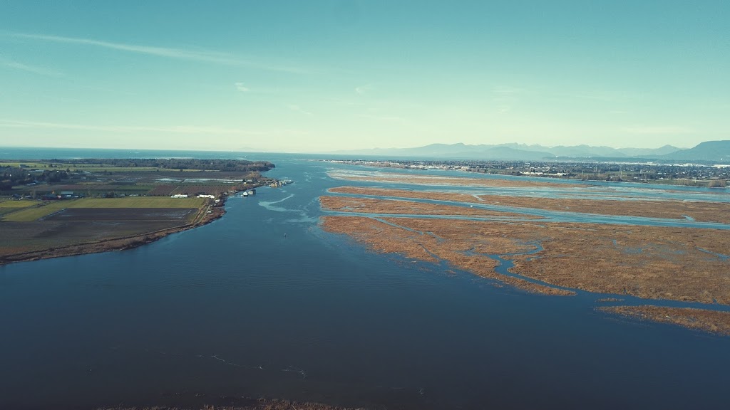 Wellington Point Park | 3653 River Rd W, Delta, BC V4K 3N2, Canada