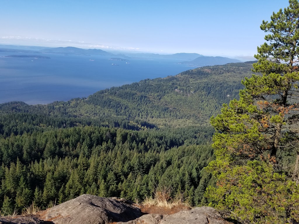 Oyster Dome | 11571 Blue Heron Rd, Bow, WA 98232, USA